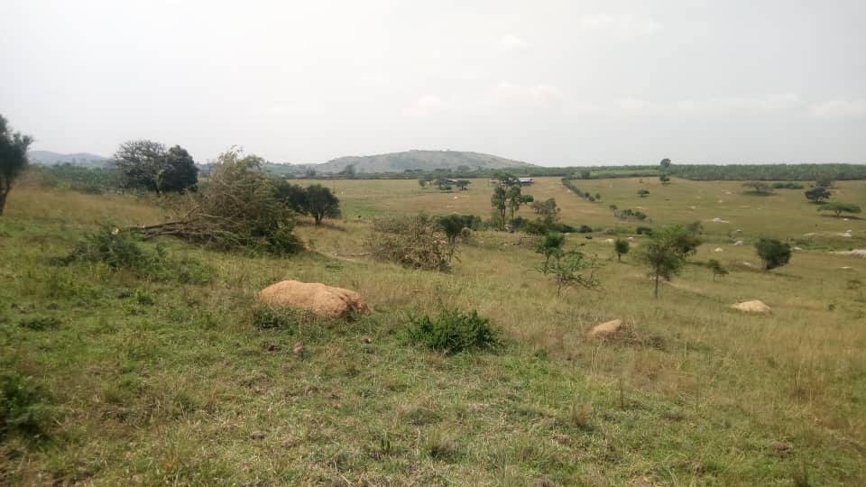 WhatsApp Image 2023-02-22 at 3.41.02 PM.jpeg